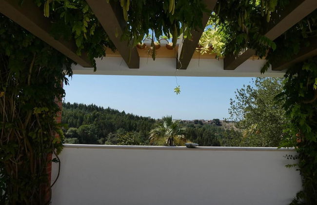 Vida-Vi, Country House and B&B - Foto 21