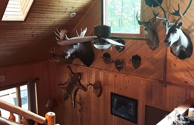 Taylor Lake Point - Foto 18