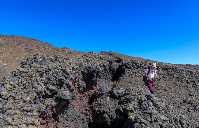 Tour in Sainte-Rose - Foto 6