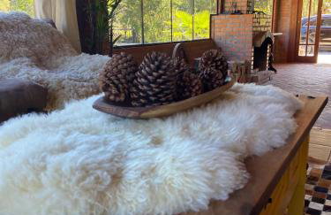 Chalé Cabana Sítio na Serra para amigos e familiares com Piscina - Photo 40