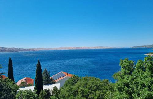 Apartmani 'Cvit' - Photo 3