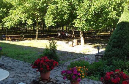 Andrea Sofi Guesthouse - Photo 6