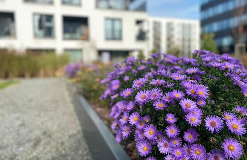 Art & Pleasure WAW z bezpłatnym parkingiem - Foto 64