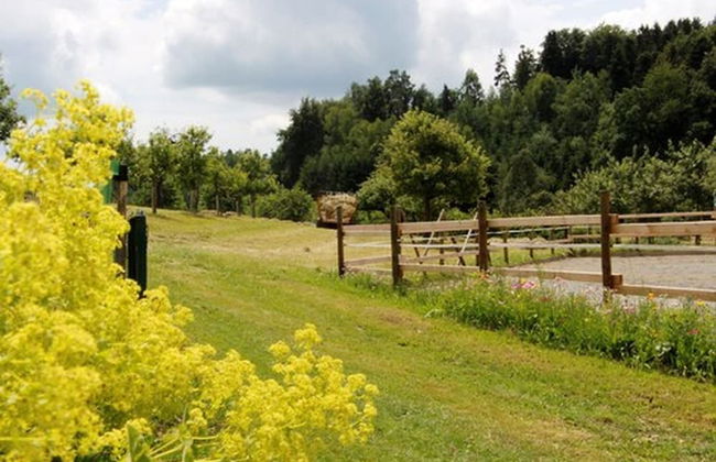 Ferienhof Stärk - Foto 15