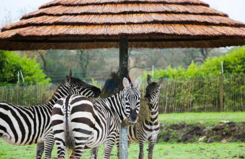 Classy 2 Bed Near Alton Towers, Polar Bears, Peak District - Foto 45