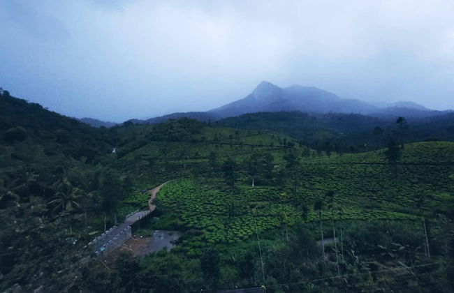 Bungalow With Tea Garden View - Foto 8