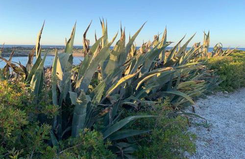 Grey House - Foto 75