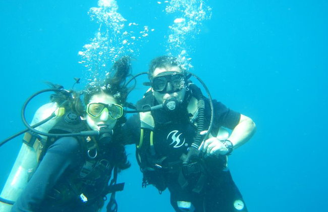 Beneath the Blue: Dive into the Wild Pacific - Photo 2