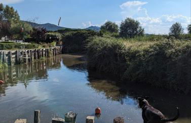 Chalet sul Trasimeno - Photo 13