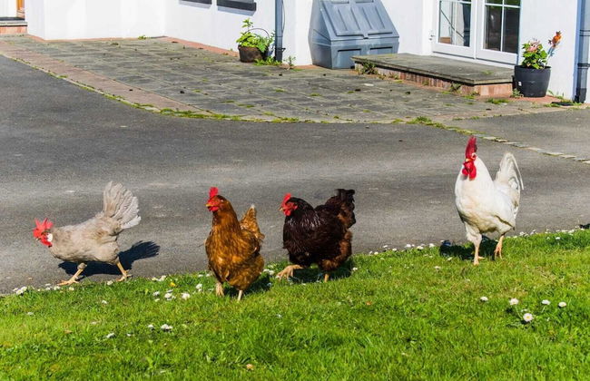 The Heights & Hollows Farmhouse - Foto 43