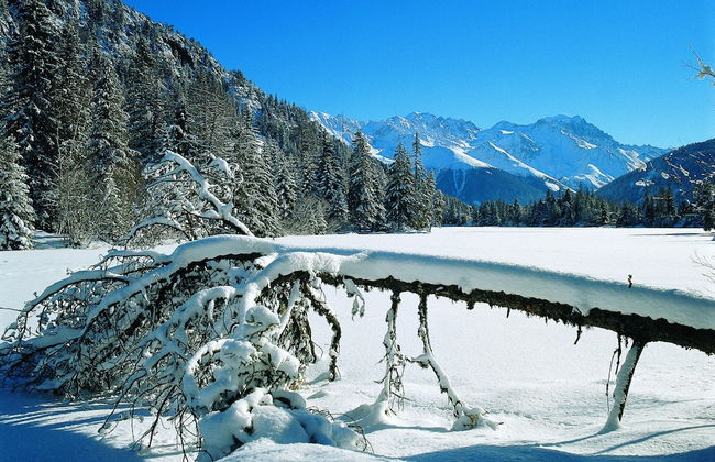 Chalet Heremence Near Les 4 Vallees Ski Area - Foto 32