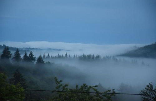 Le petit paradis, mini maison,nature,confort,calme - Foto 37