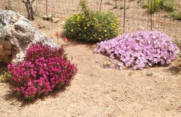 Roussa's House - Foto 48