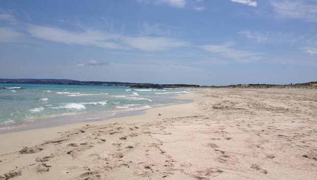 Formentera y sus mejores playas: tour de día completo en ferri rápido con recogida opcional - Foto 4