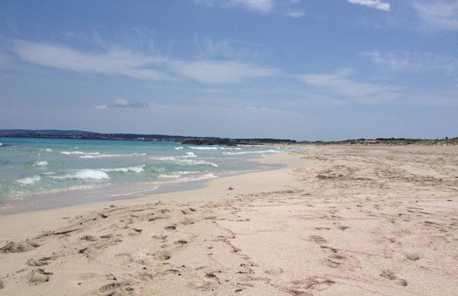 Formentera with its best beaches - Full-Day Tour by Fast Ferry and Optional Hotel Pick-Up - Photo 4