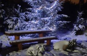 WRÓBLOWA CHALET przy Dolinie Chochołowskiej - Foto 46
