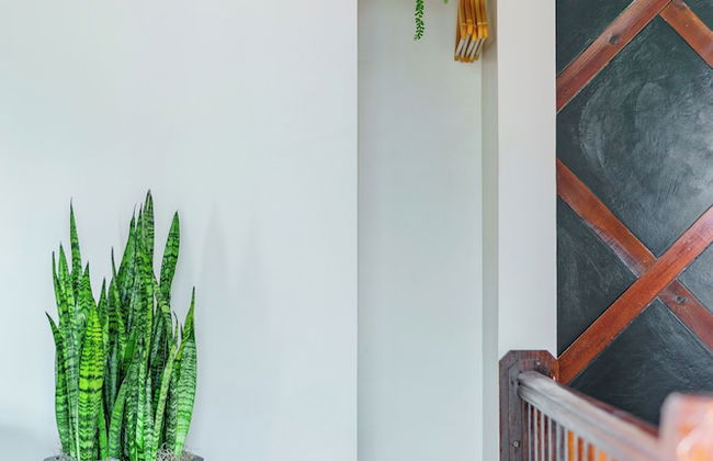 Jungle Gem Master house - Foto 73