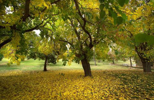 Borgo Della Marmotta - Foto 22