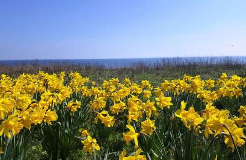 Meerblick Ferienwohnung - Foto 27