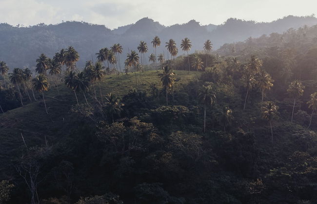 El Pueblito - Foto 39