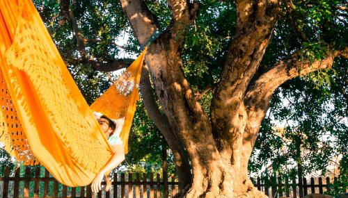 Quinta dos Cochichos – Country Houses - Foto 2, Garden