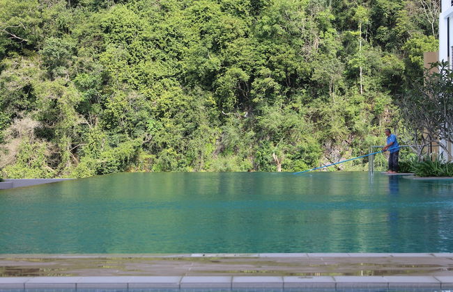 Mountain & Theme Park Views' Cozy Suite - Foto 43