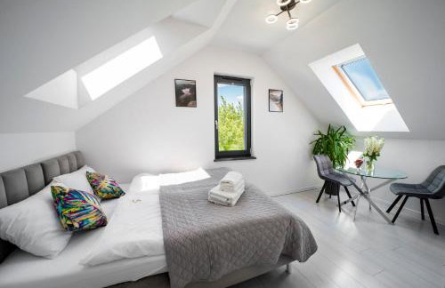 Apartamenty Z Widokiem Na Mazury Jezioro Czos Sauna Jacuzzi - Foto 9