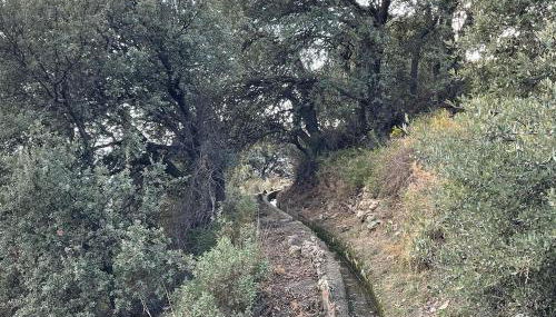 Apartamentos El Cabo - Photo 4