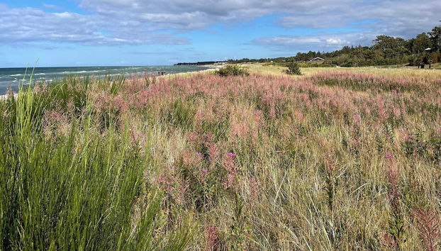 6 Person Holiday Home in Glesborg - Foto 5, Miscelánea