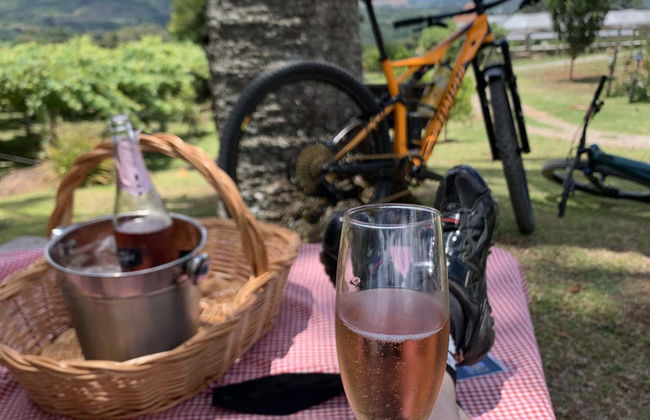 Nove Colônias Bike Tour + Picnic at Casa Sander - Foto 6