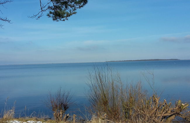 Holiday Home in Am Salzhaff - Photo 20