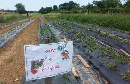 Agriturismo Bosco Del Fracasso - Photo 2