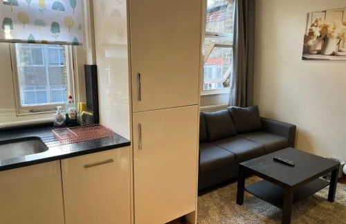 Stunning apartment in the heart of Central London - Foto 24