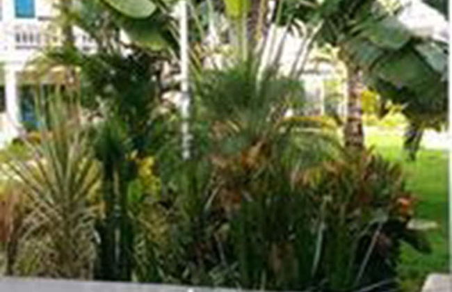 Beachfront Apartment facing Playa Popy - Photo 19