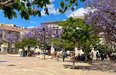 The Picasso Penthouse Alcazaba views - Photo 31