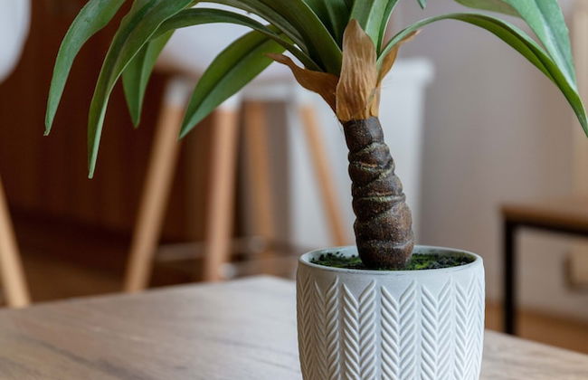 Walker Suite No54 - Donnini Apartments - Foto 23