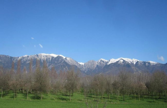 Modern Farmhouse in Pagnano Italy Near Forest - Photo 31