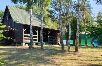 domki nad jeziorem, las, do 10 osób jezioro Wilczyńskie Budzisławskie - domek letniskowy osobno ogrodzony, ogrzewany mile widziane pieski, zwierzeta- wielkopolska, 62-550 Zygmuntowo gm Wilczyn - Photo 14