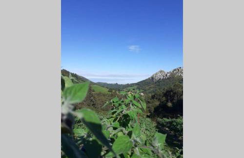 La Vierta Casa Rural Agroturismo - Foto 48