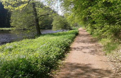 Ferienhaus zur Weinlaube - Foto 21