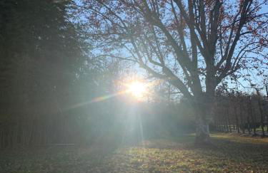 Dimore Granaio nr5 Wine & Countryside Experience, welcome box, free parking & pool - Photo 36