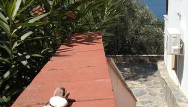 Violetta Studios & Apartments - Foto 2