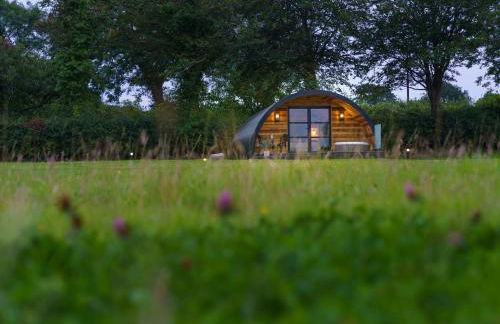 The Piglet Pod - Photo 16