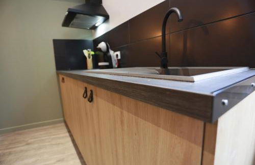 Maison Le Lodge- Centre Doué la Fontaine proche zoo - Photo 18