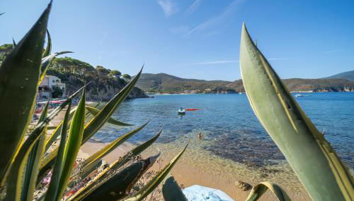 Agave direclty on the beach - Goelba - Foto 4