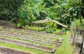 Chácara Bela Vista - Photo 37