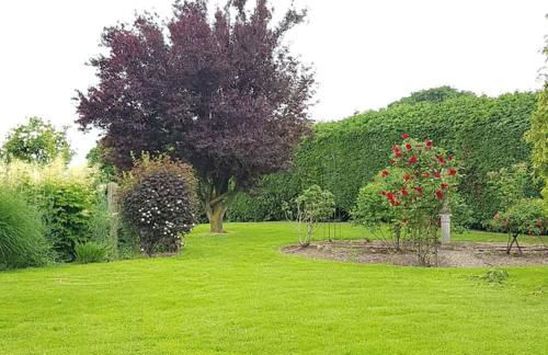 Chadwich Heights - Foto 15