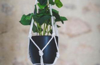 Le gite du cedre - Foto 6