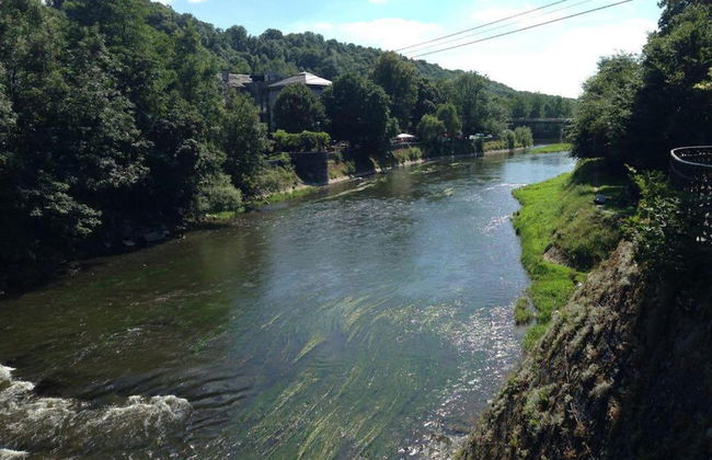 Amazing Lodge With Shared Pool - Photo 33