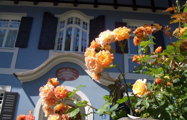 In het Blauwe Huis - Zolderverdieping - Foto 27